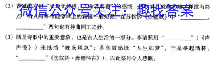 安徽省2023-2024学年度第二学期九年级阶段教学测试2024.3语文