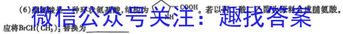 32024年炎德英才大联考长郡中学高三寒假作业检测化学试题