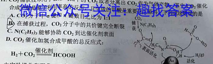 河南省2023-2024学年度七年级下学期期中考试（第六次月考）化学