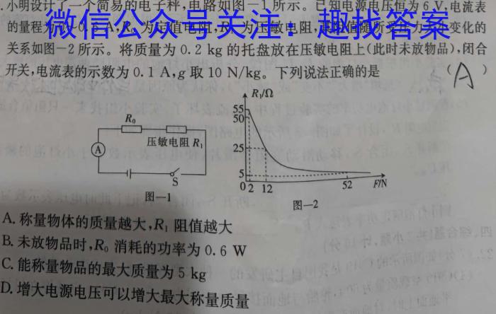 2024年文博志鸿河北名校联考圈题卷物理试卷答案