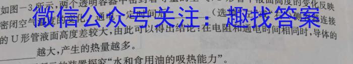 安师联盟·安徽省2024年中考仿真极品试卷（一）h物理