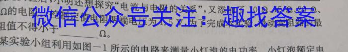 安徽省2024年考前适应性评估（一）6L R物理试卷答案