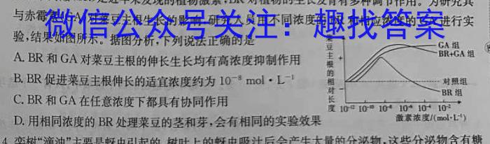  河北省2024-2025学年高一年级七月份考试(25-03A)生物学试题答案