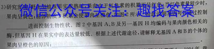 2024年普通高等学校招生全国统一考试仿真模拟卷(T8联盟)(八)生物学试题答案