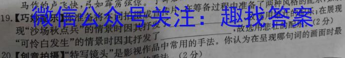 2024届湖北省高中名校联盟高三第四次联合测评语文