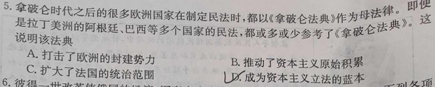 [今日更新]陕西省2023-2024高一模拟测试卷(△)历史试卷答案