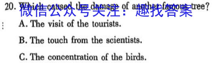 木牍中考·考前读卷2024年安徽中考抢分金卷一·诊断英语试卷答案