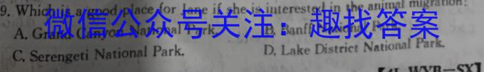 安徽省亳州市2024届九年级下学期2月开学考试英语试卷答案