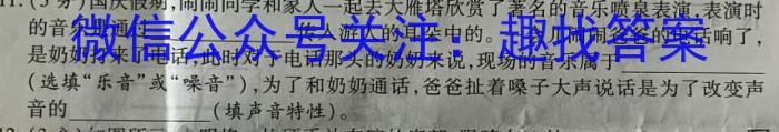 安徽省2024届中考第一次模拟物理试卷答案