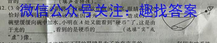 逢考必过2024年河南省普通高中招生考试考场卷物理试题答案