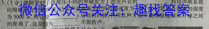 安徽省2024年初中毕业学业考试模拟试卷（5月）物理`