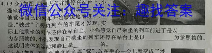 渭南高新区2024年初中学业水平模拟考试(三)物理`