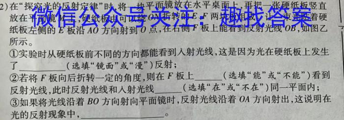 江西省2024年八年级《学业测评》分段训练（六）物理
