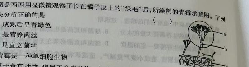 安徽省2024年九年级教学检测(CZ118c)生物