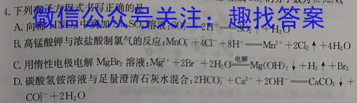 江西省临川二中2024年上学期九年级质量检测化学