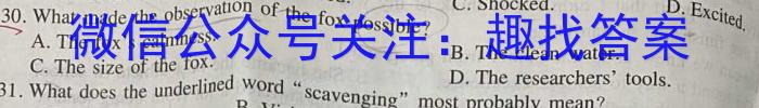 江西省九江市永修县某校2023-2024学年度下学期九年级阶段（一）质量检测试卷英语