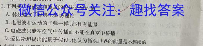 2024年安徽省中考学业水平检测·试卷(A)f物理