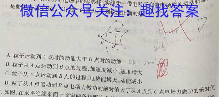 名校计划2024年河北省中考适应性模拟检测（夺冠一）物理试卷答案