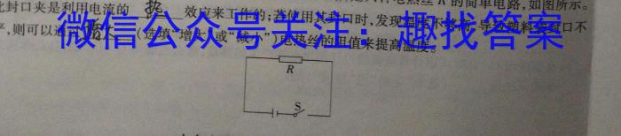 山东省泰安市高二年级考试(2024.07)物理`