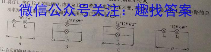 河北省2024-2025高二考试(9.3)物理`