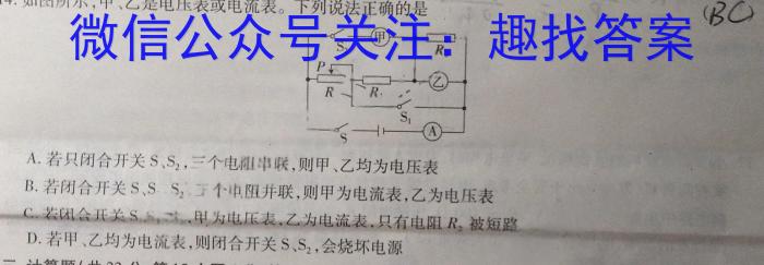 辽宁省JPGZ2023-2024学年下学期高二期中考试(242810D)物理`