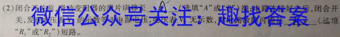 陕西省咸阳市某校2024-2025学年度第一学期九年级第一次学科素养测试物理试卷答案