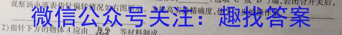 山西省2023-2024学年度八年级第二学期阶段性练习(二)2物理试卷答案