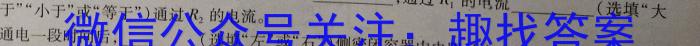 佩佩教育·2024年普通高校统一招生考试 湖南四大名校名师团队猜题卷物理试卷答案