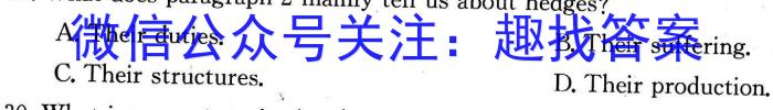 九师联盟·2024届高三2月质量检测英语