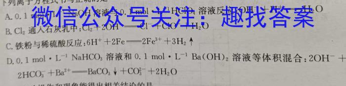 【精品】鄂东南教改联盟学校2024年五月模拟考试化学