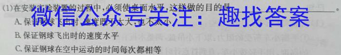 2024届武汉市九年级适应性训练题h物理