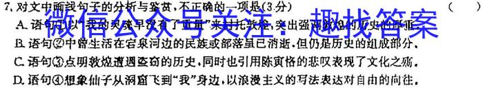 2024年湖北省七市州高三4月联考语文