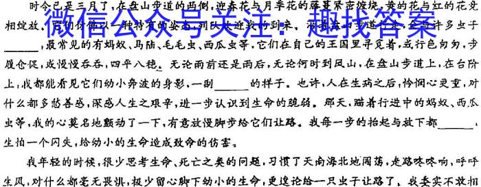 吉林省2024年名校调研系列卷·九年级综合测试（六）/语文