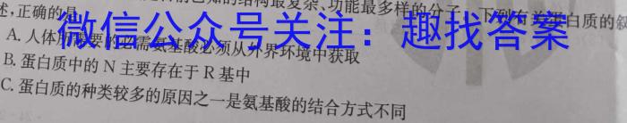 甘肃省西和一中2024-2025学年高一第一学期月测考试试卷生物学试题答案