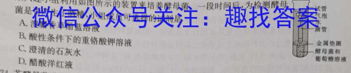 陕西省2024年高考全真模拟考试(2024.05)生物