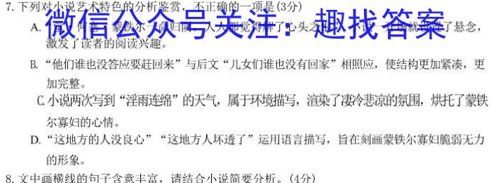 2024年陕西省初中学业水平考试模拟试卷(三)语文