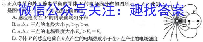 黑龙江2024届高三4月联考模拟检测卷物理试卷答案