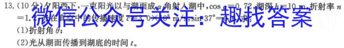 江西省2023-2024学年度七年级阶段性练习（五）物理试卷答案