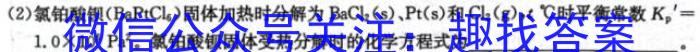 3衡水金卷先享题2023-2024学年度下学期高三一模考试化学试题