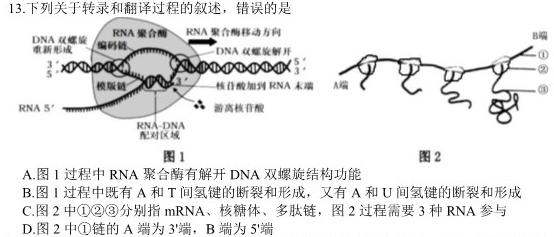 2024江西学考总复习猜想九年级模拟冲刺(二)生物