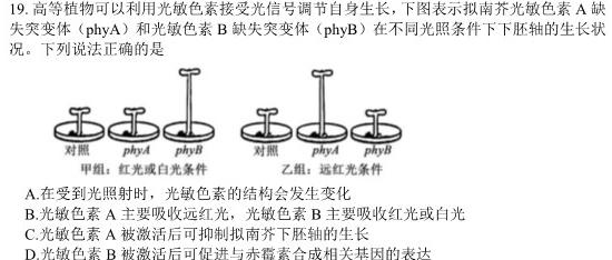 黑龙江2025届齐市地区普高联谊校高三第二次考试生物