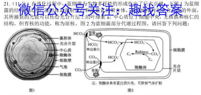 河北省2024年中考模拟试卷(点亮型)生物学试题答案