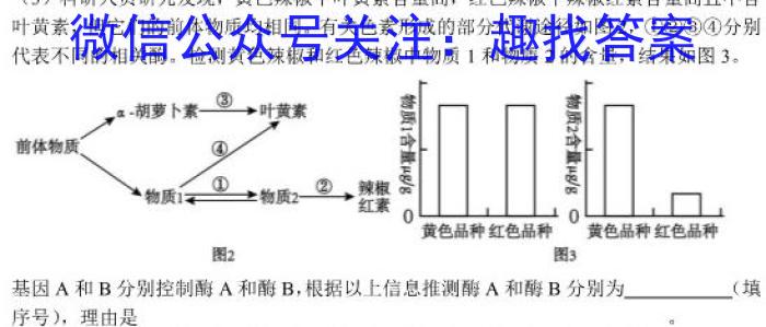 2024年普通高等学校招生全国统一考试仿真模拟卷(T8联盟)(六)生物学试题答案