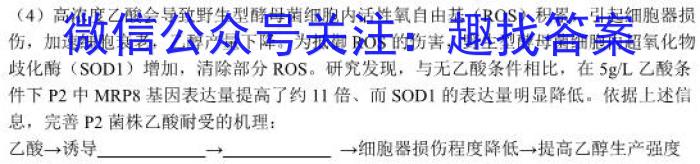 江西省2024年初中学业水平考试样卷试题卷(一)1生物