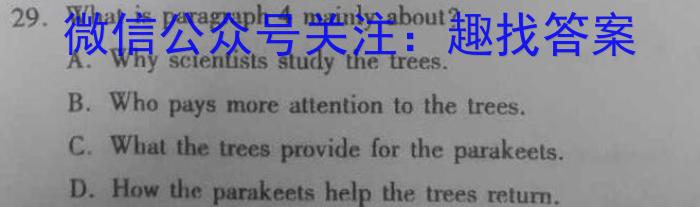 2024届[陕西 内蒙古 青海]高三5月联考(灯泡和大拇指)英语