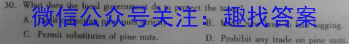 河南省2023-2024学年高一下学期期末检测(584A)英语