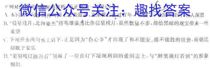 京师测评2024安徽省高三质量联合检测试卷(5.5)语文