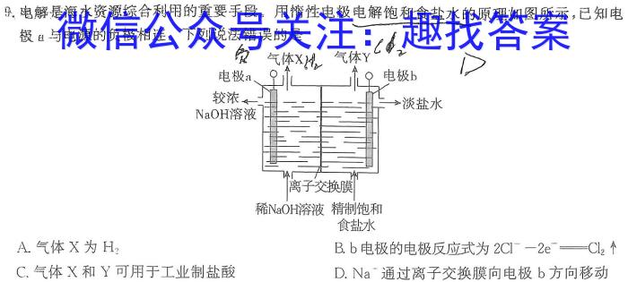 3[保定一模]保定市2024年高三第一次模拟考试化学试题