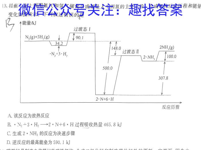 32024年安徽省第一次联考（九年级）化学试题