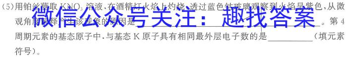 2024江西学考总复习猜想九年级模拟冲刺(一)化学